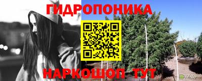 стафф Ливны