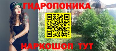 apvp Лесосибирск